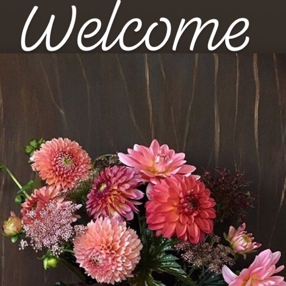 Meet your Posher, Pauline - Picture 1 of 7